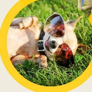 Meet your Posher, Terry